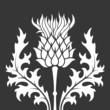 thistle, heraldic symbol of Scotland	