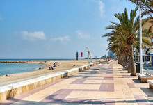 Palm-lined Promenade And Beach Of El Campello. Spain