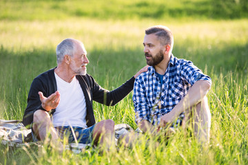 Wall Mural - An adult hipster son with senior father sitting on the grass in sunny nature.