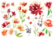 © Farina - Flowers II