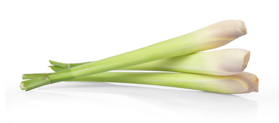 Lemon grass on white background