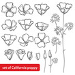 Vector set with outline California poppy flower or California sunlight or Eschscholzia, leaf, bud and flower in black isolated on white background. Contour poppy for summer design and coloring book.