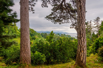 Canvas Print - View over Batumi, Georgia