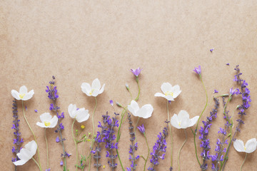 Wall Mural - Creative flat layout of wildflowers, composition top view.