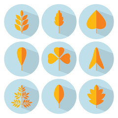 Poster - Autumn leaf flat icon set. Vector collection. Tree leaves. Eco orange logo sign. September, October