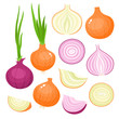Vector set of cartoon red, yellow onion isolated on white