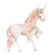 Beautiful, cute, watercolor unicorn head, portrait isolated on white