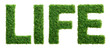 Grass growth life letters isolated