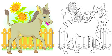 Colorful and black and white pattern for coloring. Illustration of cute donkey. Worksheet for children and adults. Vector image.