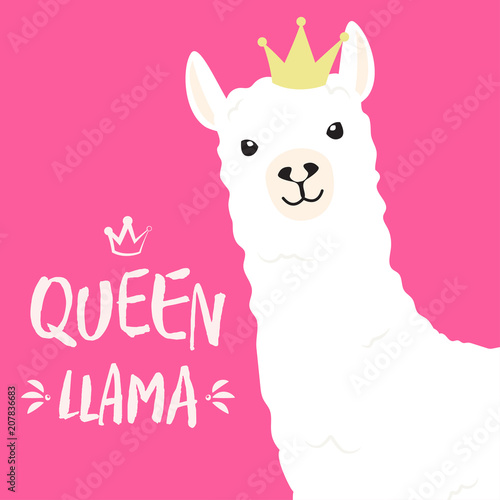 Fotomural White llama with lettering. queen llama