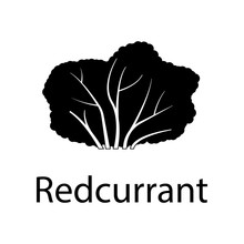 Redcurrant Tree Illustration. Element Of Plant Icon For Mobile Concept And Web Apps. Detailed Redcurrant Tree Illustration Can Be Used For Web And Mobile