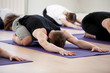 © fizkes - Group of young sporty people practicing yoga lesson, doing Child exercise, resting in Balasana pose, working out, indoor studio session close up, students training in club. Healthy wellbeing lifestyle