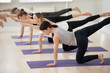 © fizkes - Group of young sporty people practicing yoga lesson, doing Bird dog exercise, Donkey pose, working out, indoor, yogi students training in sport club, studio. Active lifestyle, wellness concept