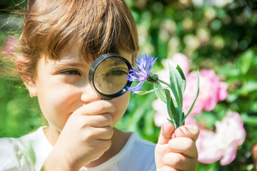 The child is looking in a magnifying glass. Increase. selective focus.