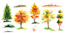 Autumn Forest Tree Set. Watercolor Hand Drawn Illustration