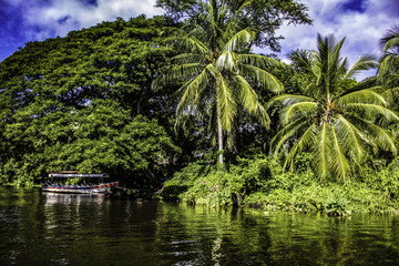 Colorful Tour Boat Parked at an Island with Tropical Palm Trees at the Isletas de Granada in Granada, Nicaragua