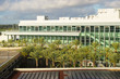 Modern architecture of convention center in California surrounded by palm trees.