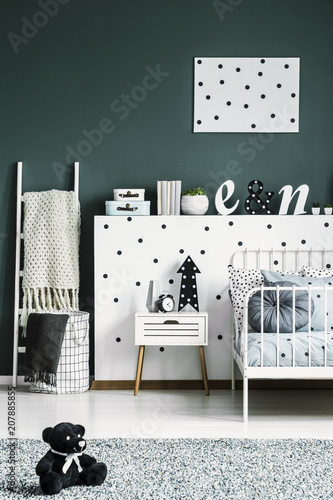 Black Teddy Bear Toy On A Rug In A Dark Green Bedroom For A