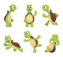 Funny Cartoon Characters Of Turtles In Various Poses