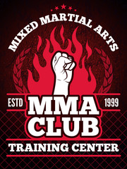 Poster - Sport poster of mma mixing fight concept illustrations