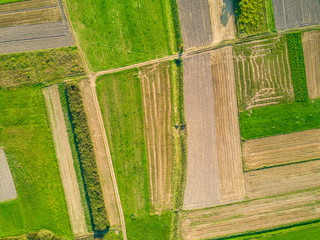 Aerial view of agricultural fields