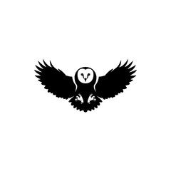 Wall Mural - owl