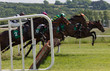 Race horses and jockeys jumping a hurdle during a race