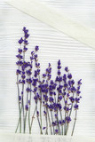 Fototapeta Lawenda - Small flowers of lavender with lace braid on white wood background with copy space. Top view. Provans style photography.