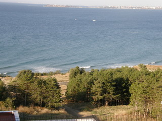 Wall Mural - beach, beauty in Nature, day, Growth, high angle view, horizon, horizon over water, Land, Nature, no people, outdoors, Plant, scenics-nature, sea, sky, tranquil scene, Tranquility, Tree, water