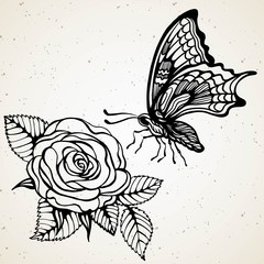 Wall Mural - Hand-draw of monarch butterfly on a paper backround. Vector illustration. Place for your text