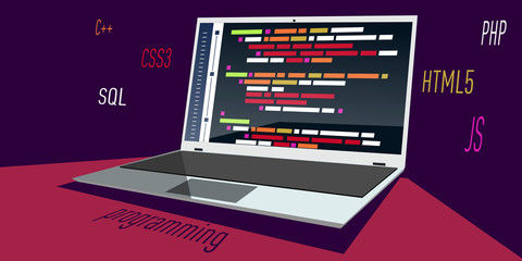 Developing, programming and coding: Programming languages