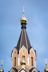 Wall Mural - The dome of the Church against the sky