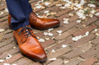 Brown leather groom shoes in white rose leaves