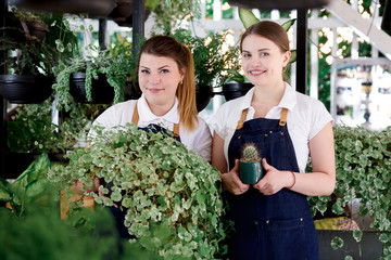 Wall Mural - girl apron attractive young cafe greenhouse flowers design interior lot many pots different plants portrait green people florists work garden leaves foliage part time