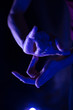 dancer's hands in violet light