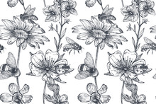 Vector Seamless Pattern With Hand Drawn Chamomile, Wildflowers, Herbs, Bee