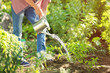 © 5second - Young boy pouring green tomatoes in the garden