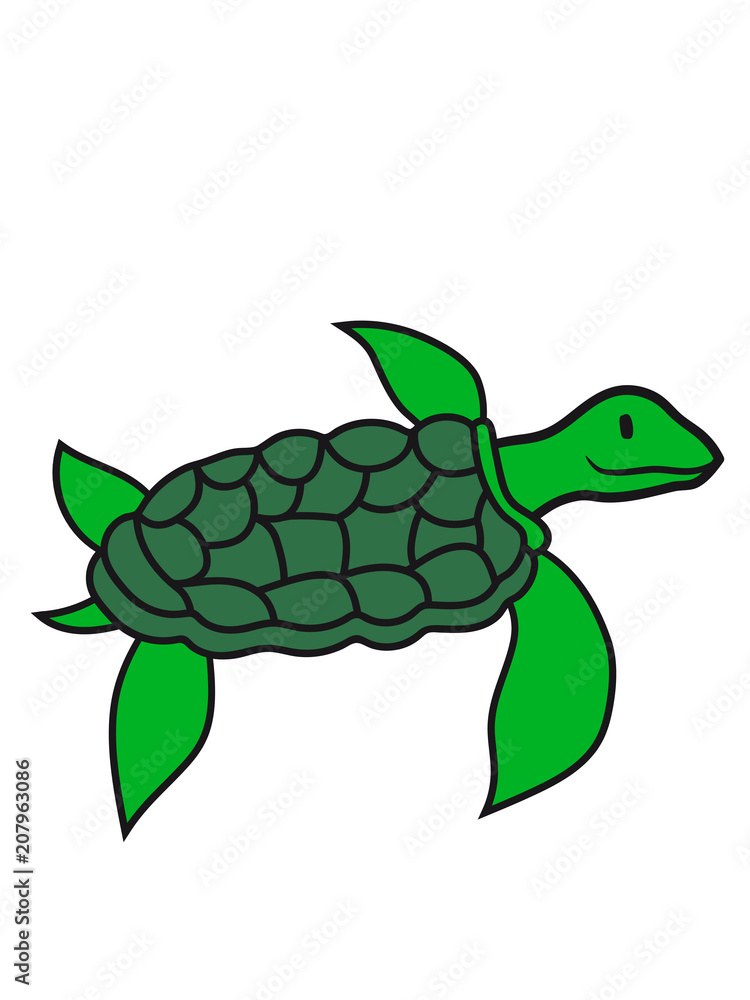 Schwimmen Tauchen Wasser Flossen Unterwasser Comic Cartoon Schildkrote Panzer Lustig Suss Niedlich Design Cool Clipart Stock Gamesageddon