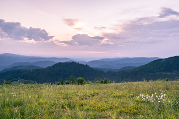 Wall Mural - Sonnenuntergang Schwarzwald
