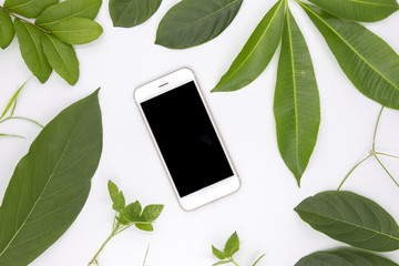 Black screen smartphone and green summer leaves on white background. User interface of mobile phone app mockup