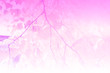 © Kira_Yan - Abstract toned in pink autumn leaves on a branch of a tree, transparent gradient. Minimalistic autumn background