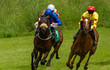 Lead race horses and jockeys racing down  the track