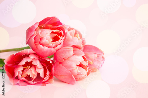 Beautiful bouquet of pink peony flowering tulips on pink background. Holiday ...