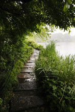 Stone Steps And Narrow Path To Lake In Nature