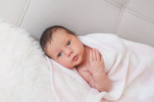 Portrait Of A Gorgeous Awake Newborn Baby Swaddled Up