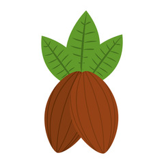 Canvas Print - cocoa beans leaves fruit image vector illustration