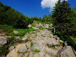 Kamienna ścieżka wiodąca przez polskie góry - szlakiem przez Karkonosze