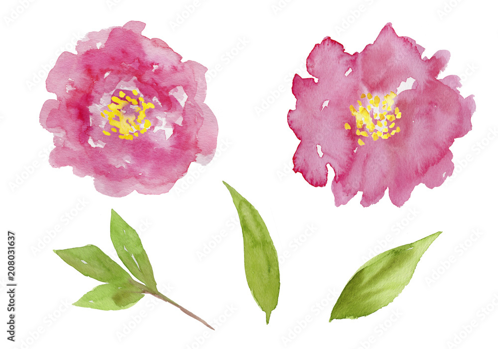 ピオニー 芍薬 水彩イラスト Adobe Stock でこのストックイラストを購入して 類似のイラストをさらに検索 Adobe Stock ピオニー 芍薬 水彩イラスト Adobe Stock でこのストックイラストを購入して 類似のイラストをさらに検索 Adobe Stock