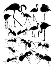 Wall Mural - Silhouette of flamingo and ants. Good use for symbol, logo, web icon, mascot, sign, or any design you want.