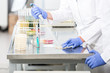Research operator preparing samples in petri dishes in laboratory